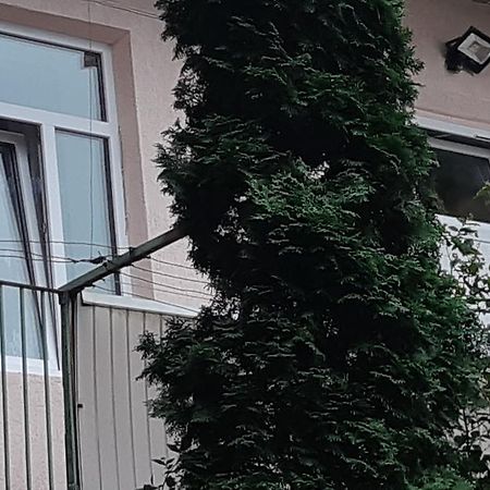 Transfer Apartment Lviv Exterior photo