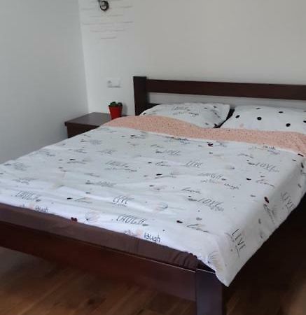 Transfer Apartment Lviv Exterior photo