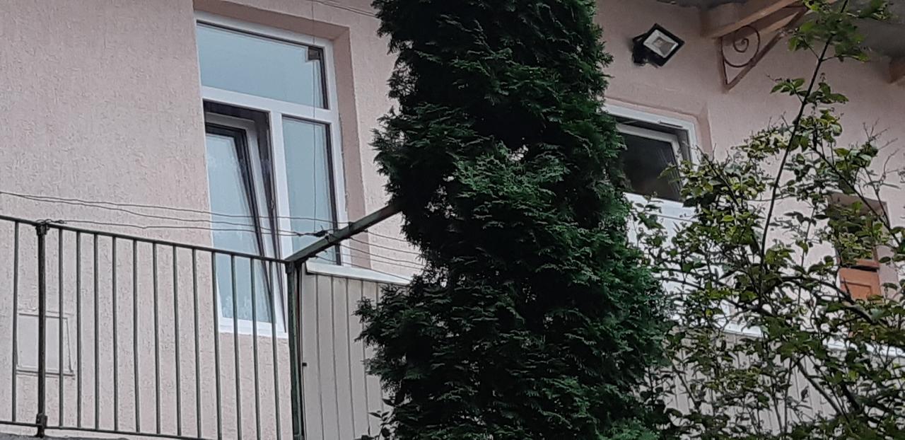 Transfer Apartment Lviv Exterior photo